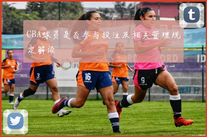 CBA球员是否参与投注及相关管理规定解读